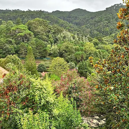 Appartement Casa Das Nozes - Sintra Hills Apt 1 Sao Martinho (Lisbon)